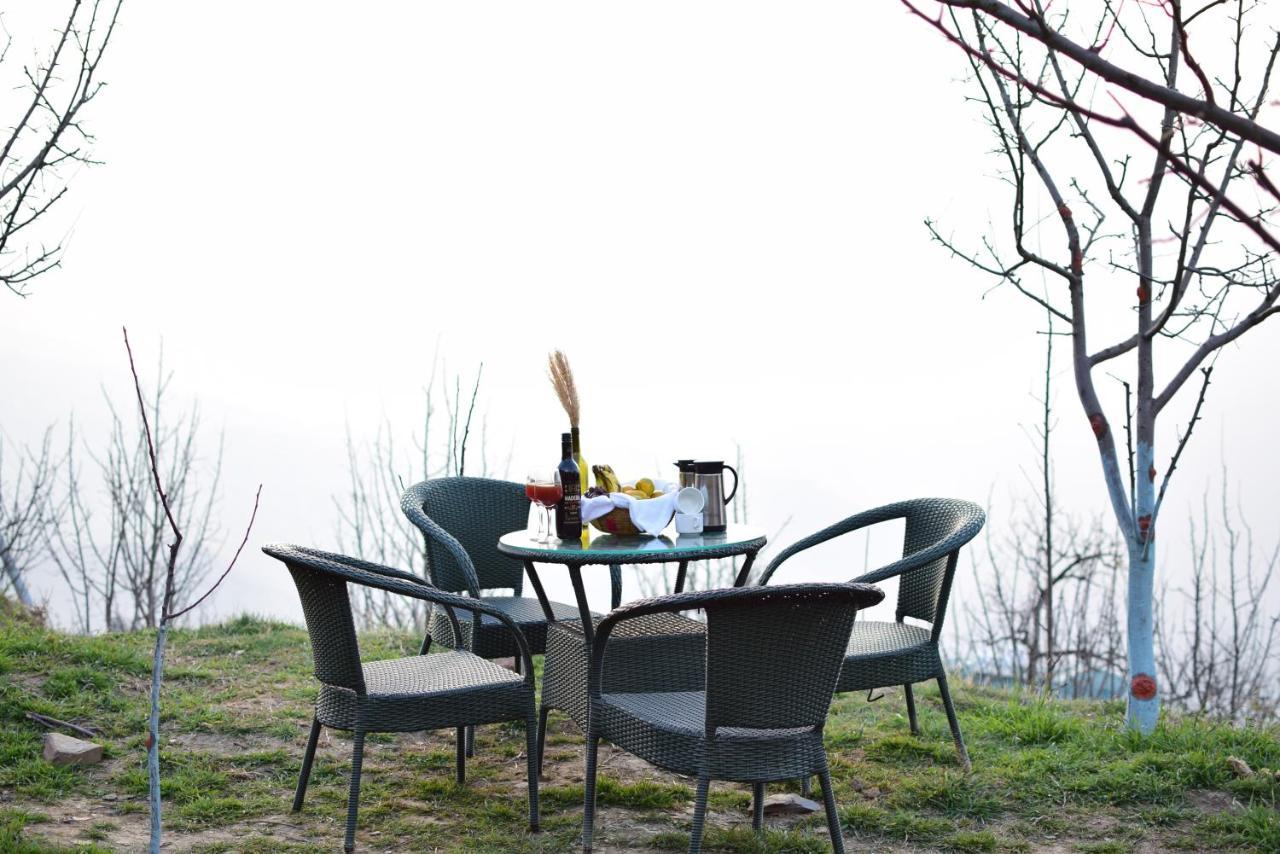 Crested View -orchard *